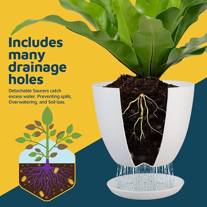 Lifemaster Eco Friendly Plant Pot Set - Image 6