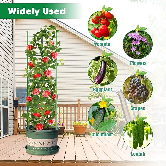 3 Pack Tomato Cages, 51.2in Tomato Plant Support Stakes Heavy-Duty, Garden - Image 7