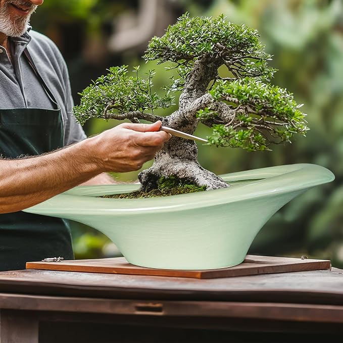 Ceramic Bonsai Pots - Image 4