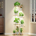 62" Plant Stand Indoor with Grow Lights by MJOMKN