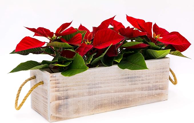 Wooden Planter Box with Handle I Rustic Whitewash I Plastic Liner l Garden - Image 8