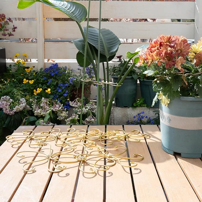 6.5IN Monstera Plant Support Hook 5PCS Durable Stem Stabilizer - Image 7