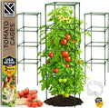 Tomato Cage Square by K-BRANDS