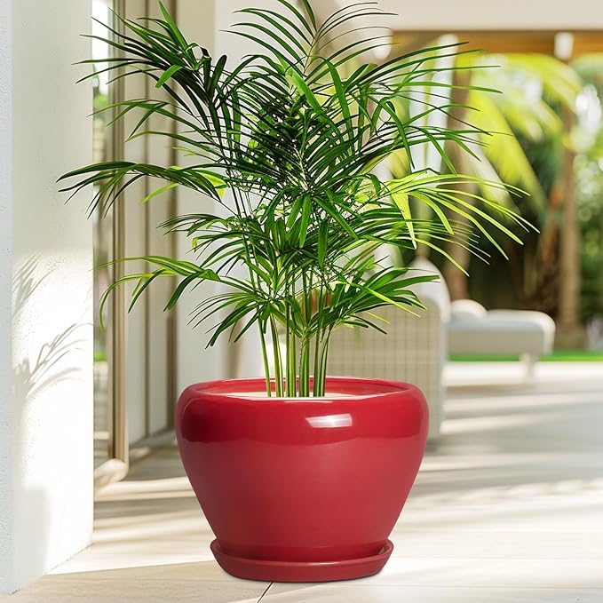 10 Inch Plant Pot - Image 4