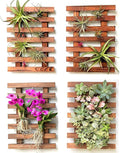 ShopLaLa Wall Planters by ShopLaLa