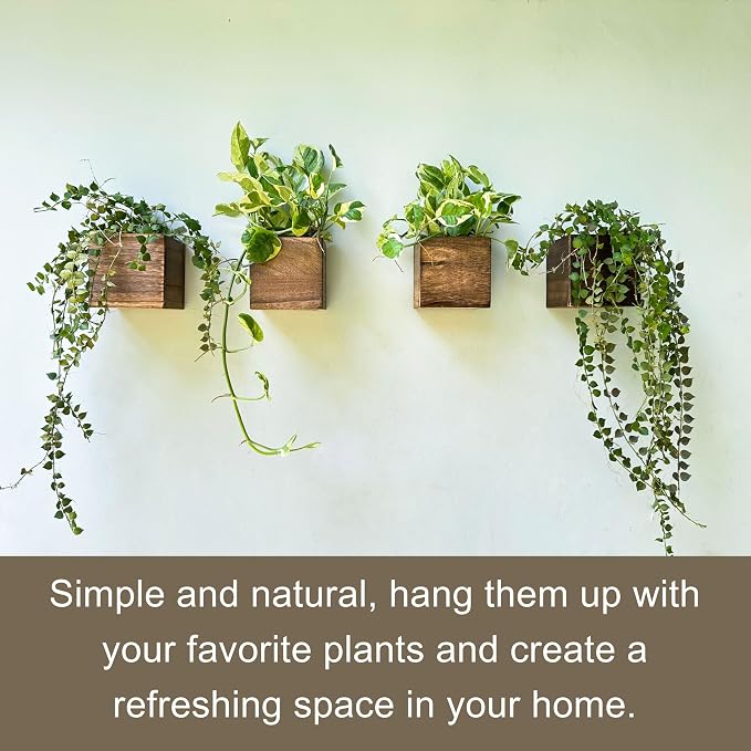 LaLaGreen Wood Planter Boxes Small Square Wooden Wall Mounted Flower Pot - Image 9