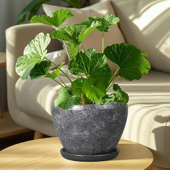 8 Inch Plant Pot - Image 4