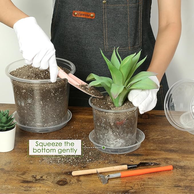 4 Inch Clear Nursery Pots for Plants - Image 4