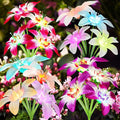 Solar Lights Outdoor Waterproof, 4 Pack Upgraded Garden Lights Solar Powered by ToDaka