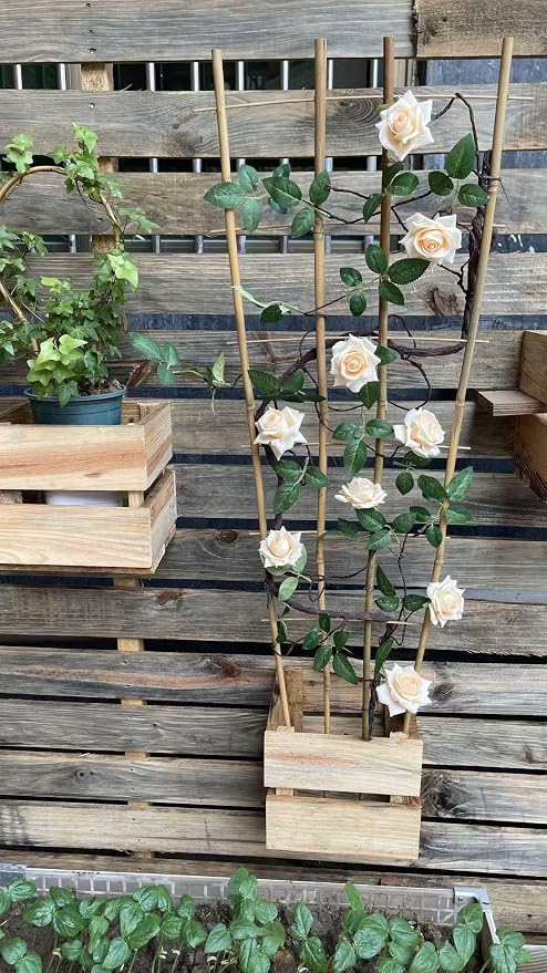 Natural Bamboo Trellis, Fan-Shaped Plant Support Trellis - Image 5
