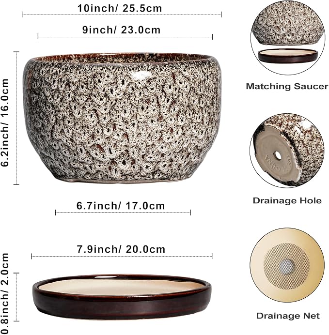 SQOWL Ceramic Plant Pots - Image 3