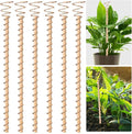6pcs Electroculture Plant Stakes, 13.5'' Copper Coil Wire Antennas Garden Stakes by Doksving