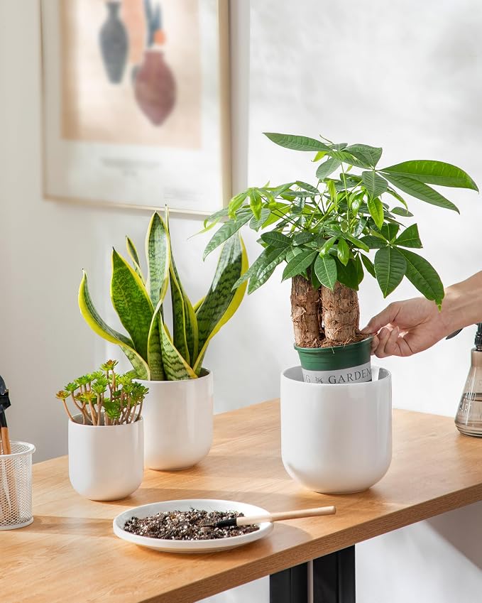 vancasso Ceramic Plant Pots, 4+5+6 inches, Planters - Image 6