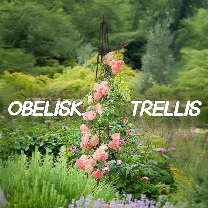 Obelisk Trellis for Climbing Plants Outdoor, 6 Ft Garden Trellis for Potted - Image 6