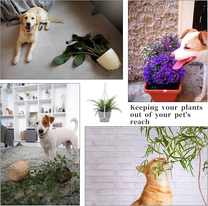 Macrame Plant Hanger Indoor, 2 Pack Boho Decor Hanging Plant Holder Hanging - Image 4