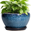 Ceramic Pots for Plants by Ceramicfor