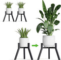 Adjustable Plant Stands Set of 2, Metal Small Plant Holder, Heavy Duty Stable by IRCPEN