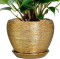 Indoor Plant Pot 6 Inch by Ceramicfor