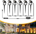 L LOHAS LED Dusk to Dawn Low Voltage Landscape Lighting, 3000K Warm White by LLOHASLED