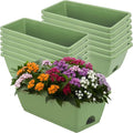 Window Box Planter, 12 Pack Plastic Vegetable Flower Planters Boxes 17 Inches by LOCONHA