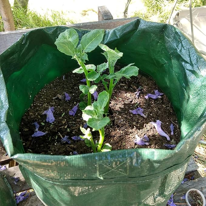 JJGoo Potato Grow Bags, 4 Pack 10 Gallon - Image 8