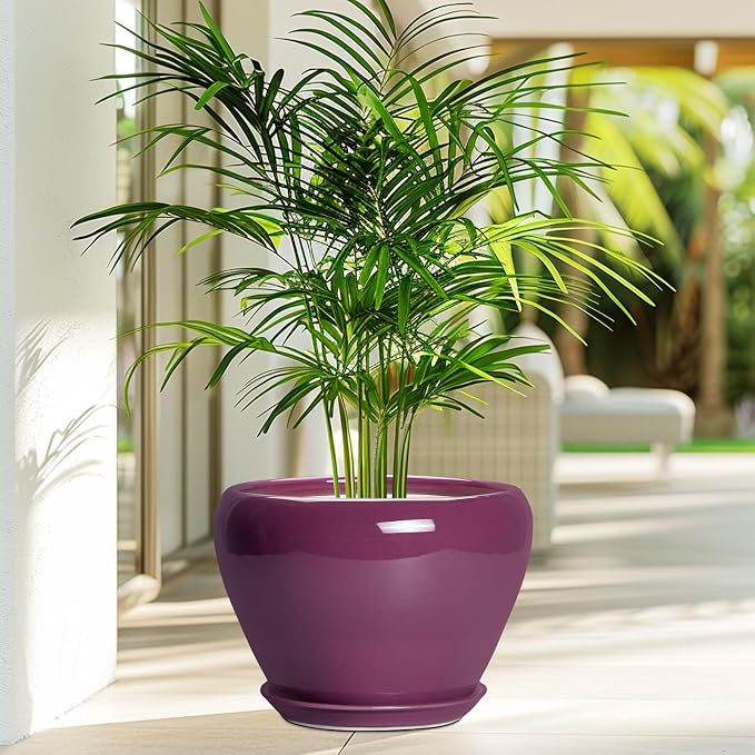 10 Inch Plant Pot - Image 4