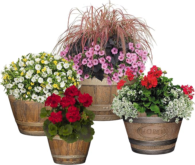 Classic Home and Garden S74CP5D-037R Whiskey Barrel Planter 5 Pack, Kentucky - Image 5