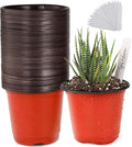 TDHDIKE Plastic Planter Nursery Pots 4" Small Seedlings Flower Pots Container by TDHDIKE