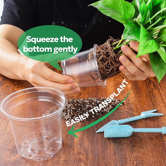 50 Packs 4 Inch Reinforced Clear Nursery Pots - Image 5