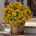 Artificial Fall Flowers for Outdoors Fake Mums by AXYLEX