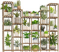 22 Tiers Plant Shelf for Plants Large Indoor Plant Stand Plant Rack Extra Large by Gentingbro
