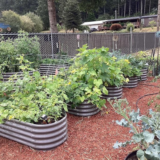 A ANLEOLIFE 6-Pack 4X4 & 6X3 & 6X2 Deep Root Galvanized Raised Garden Beds - Image 5
