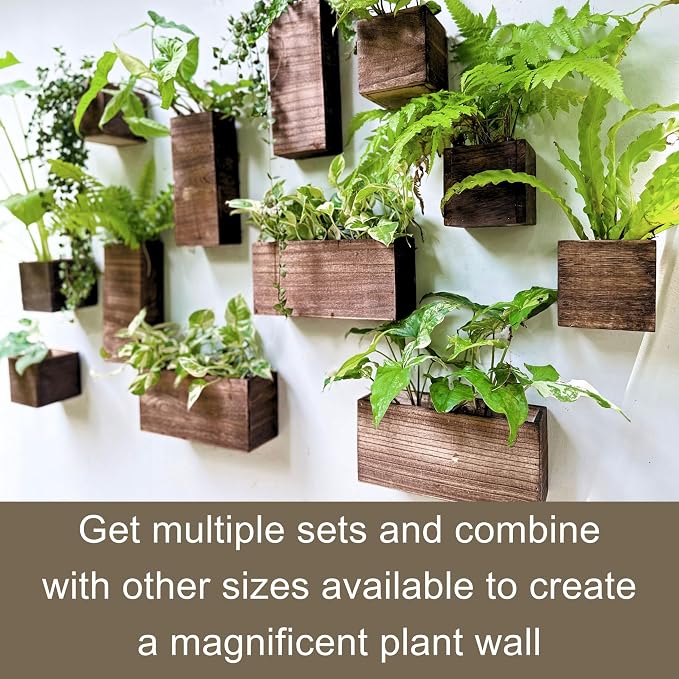 LaLaGreen Wood Planter Box for Plants Wooden Hanging Wall Planters for Indoor - Image 5