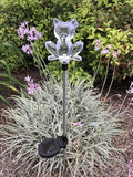 Solar Garden Stake Lights with Color Changing LED or Regular White LED by Ntertainment+House