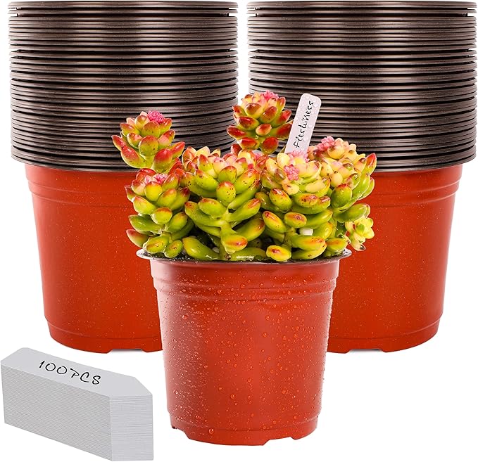 Plant Nursery Pot/Pots 100 Pcs 6" Plastic Small Plants Pots Flower Pots Seed by LWWTBS