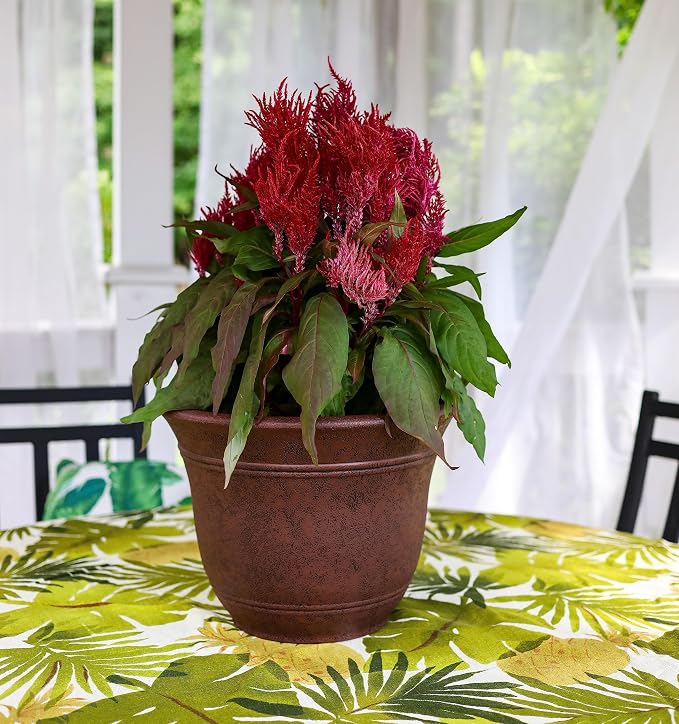 The HC Companies Sierra Round Self-Watering Pot - Image 2