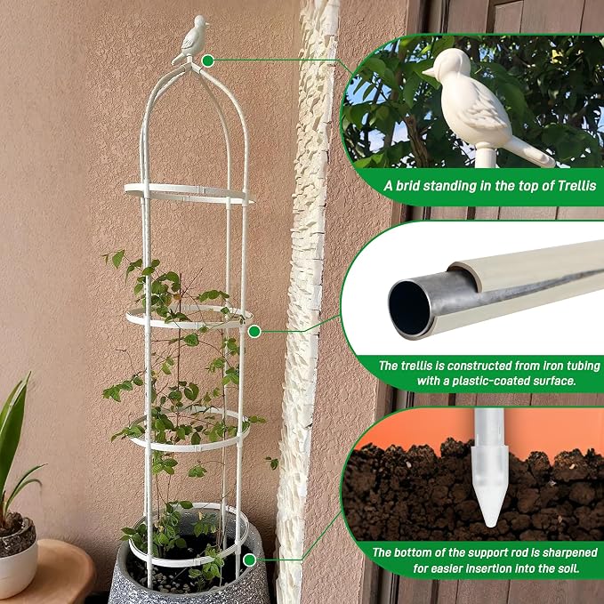 Garden Trellis for Climbing Plants, Rustproof Metal Pipe - Image 2