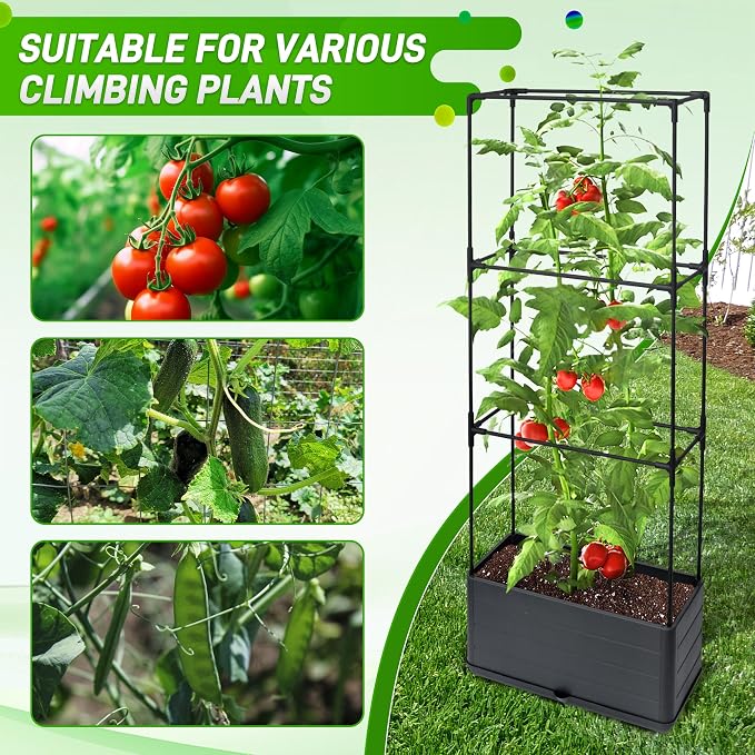 2 Packs Raised Garden Bed Tomato Planter Box - Image 7