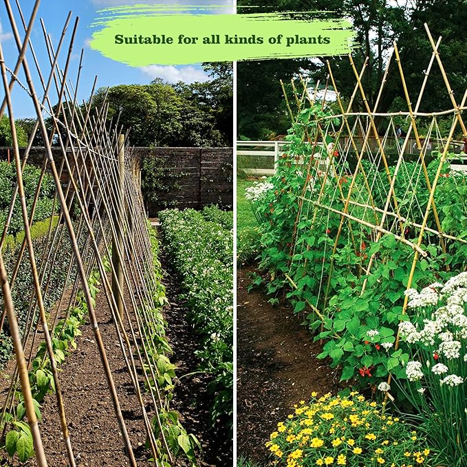 25pcs 1/2" D Thicker Heavy Duty Bamboo Stakes, 4FT Plant Stakes, Natural Garden - Image 8