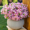 Artificial Flowers for Outdoors Fake Plants by AXYLEX