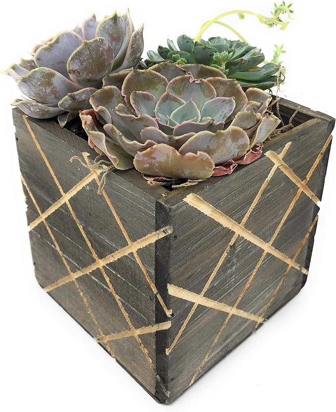 Wood Planter Box with Diamond Cross Hatch Style, 5 Inch Square, Rustic Barn Wood - Image 5