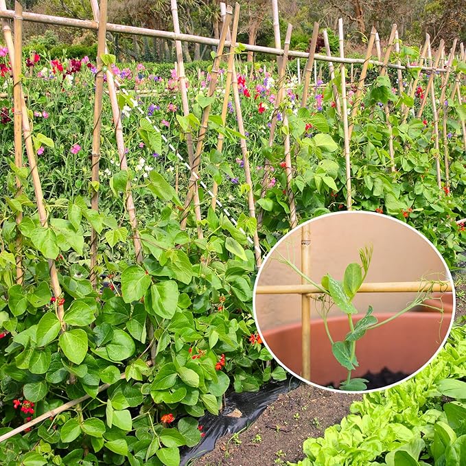Plant Stakes, 3FT Longer Sturdy Natural Bamboo Garden Stakes, GAGINANG 25Pcs - Image 3
