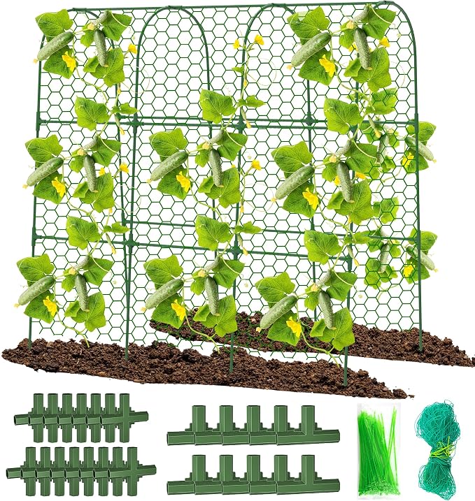 Cucumber Trellis, Foldable Trellis Cucumber by DSTANA