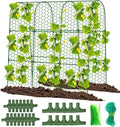 Cucumber Trellis, Foldable Trellis Cucumber by DSTANA