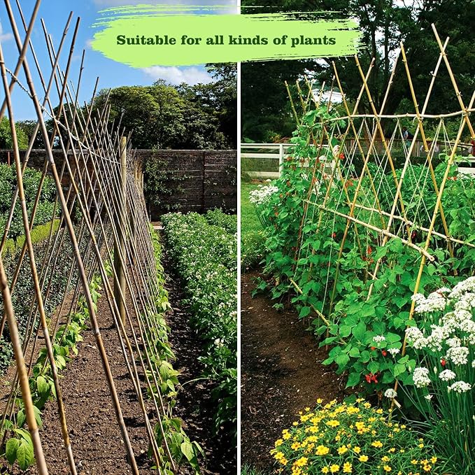 25pcs 1/2" D Thicker Heavy Duty Bamboo Stakes, 4.75FT Plant Stakes, Natural - Image 8