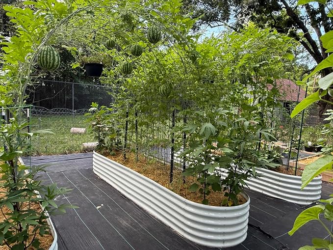 A ANLEOLIFE 12X3X1.5 ft Galvanized Raised Garden Beds Outdoor, Oval Extra Large - Image 2