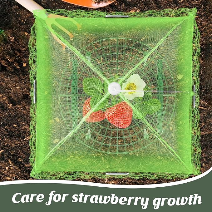 6 Sets Strawberry Plant Support - Image 5