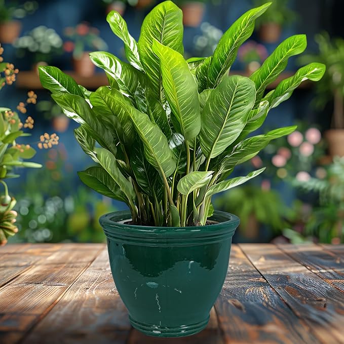 Sunnydaze Large Ceramic Plant Pot - Image 6