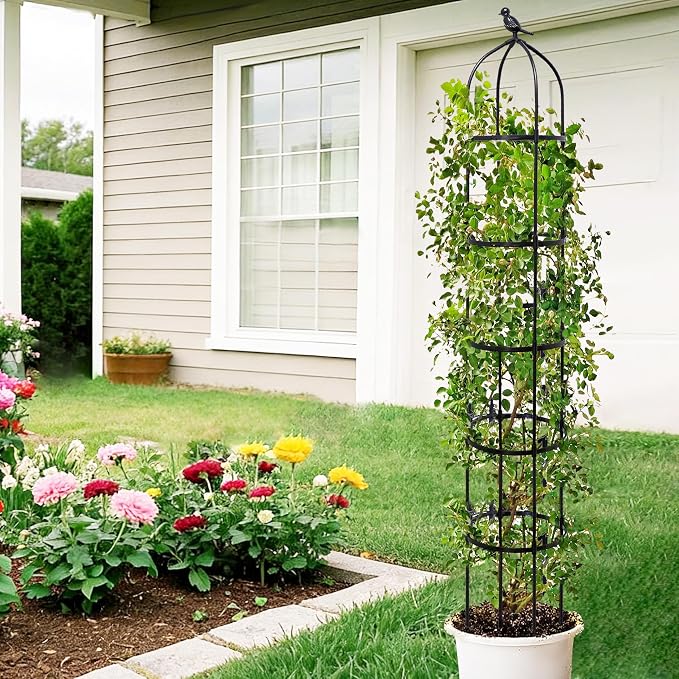 2-Pack 6.7FT Garden Obelisk Trellis - Image 7