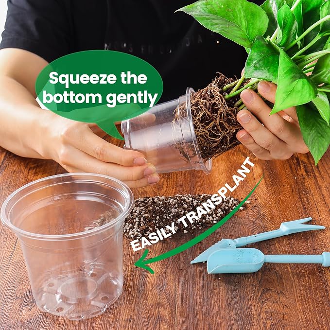 8 Packs 8 Inch Reinforced Large Clear Nursery Pots - Image 5